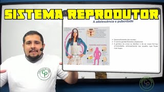 Sistema reprodutor 01  Puberdade masculina e feminina [upl. by Atiuqal]