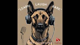 The Story About Cairo the Dog Who Helped Get bin Laden [upl. by Amar]