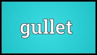 Gullet Meaning [upl. by Rett]