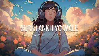 Surili Akhiyon Wale Slowed  Reverb  Rahat Fateh Ali Khan  Lofi  Lofi Munda [upl. by Etnohc932]