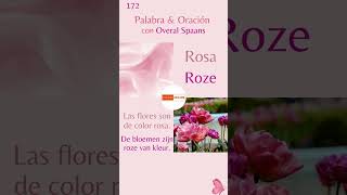 Roze in het Spaans  Woordje ＃ 172 OveralSpaans 🇪🇸 🩷 [upl. by Aubrette]