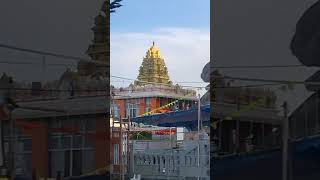 Wargal Sarasvati Devi temple Famous Temple Telangana wouldyouratherdo indianbatsman [upl. by Weisbrodt]