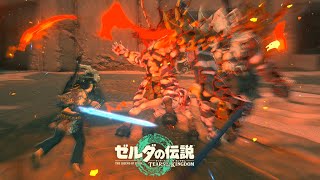 【TOTK】freestyle advanced combat against 2 lynels at the same time [upl. by Annaeel]