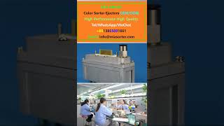 Comprehensive Guide to Color Sorter Ejector Valves Manufacturer Selection in India Italy USA Korea [upl. by Narra]