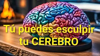 Tú puedes esculpir tu cerebro [upl. by Snook]