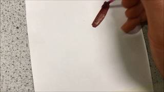 Stippling and blending with acrylic paint [upl. by Reyem283]