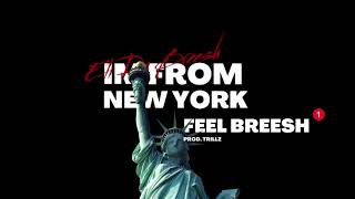 Eli Du Breesh  Feel Breesh I’m From New York Official Audio [upl. by Noseyt]