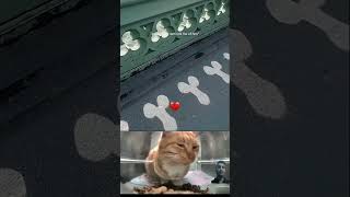 bro you see the detail🤨😂 cat funny memes explore bombastic viral shorts edit cute duet [upl. by Ecinerev253]