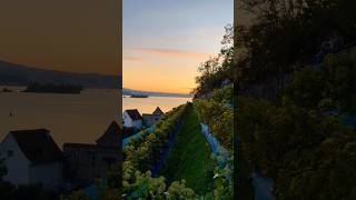 Beautiful Switzerland Rapperswil [upl. by Alcock77]