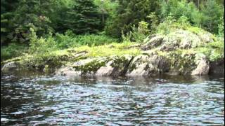 Roll Dam in Seboomook Township and Lobster Lake in Lobster Township [upl. by Yrotciv465]