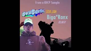 Sunshine Soldier  BigaRanx Noche RMX [upl. by Ennahs183]