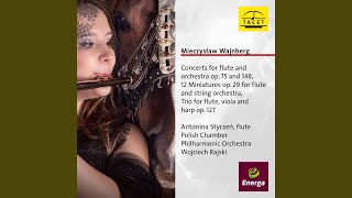 Flute Concerto No 2 Op 148 III Allegretto  Andante molto ritenuto [upl. by Yusem999]