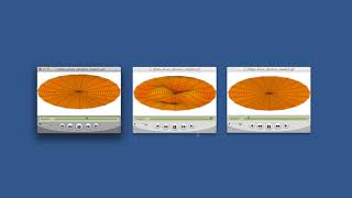 Drumming up Bessel Functions Plots [upl. by Sorenson941]