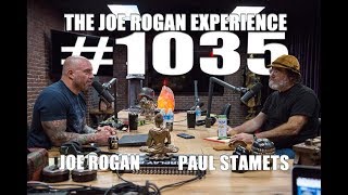 Joe Rogan Experience 1035  Paul Stamets [upl. by Budwig341]