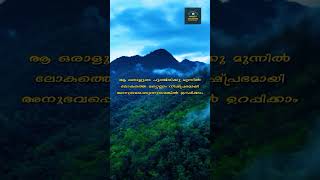 പ്രണയവല്ലരി  pranayavallari  shorts malayalamshorts lovestatus [upl. by Arammat377]