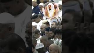 sheikh shamshan shorts heart touching voice Sheikh Shamshan shorts [upl. by Carlen]