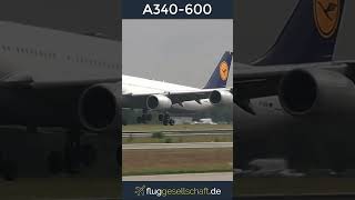 Lufthansa´s Captain Claus quotQuax 747quot Airbus A340600 landing Runway 25R FRANKFURT Airport [upl. by Editha]