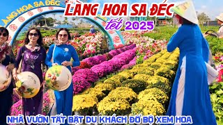 Quá Đẹp LÀNG HOA SA ĐÉC 2025 Bà Con TẤT BẬT CHUẨN BỊ HOA ĐÓN TẾT Giá Hoa Nhiều Loại RẺ HẾT HỒN KPVL [upl. by Onitnas]