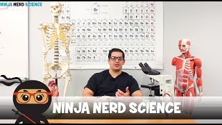 Welcome to Ninja Nerd Science [upl. by Cox593]