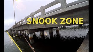 How To Catch Snook Around Bridges Where and When to Fish [upl. by Ransom]