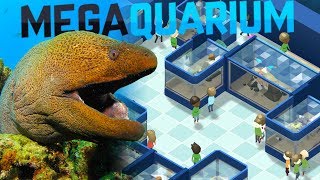 Megaquarium  Moray Eels And Giant Tanks  Our New Aquarium  Megaquarium Gameplay [upl. by Eladnwahs981]