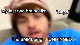 The DSMP being ✨UNHINGED✨ for 4 minutes and 33 seconds [upl. by Loesceke]