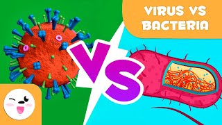 Viruses Vs Bacteria  What are their differences [upl. by Aleinad]