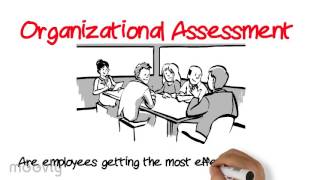 Organizational Assessment [upl. by Suki651]