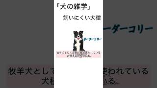 初心者が手を出すと後悔するよ犬の雑学 犬 犬好き [upl. by Elvia]