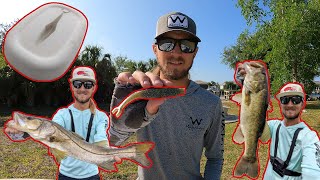 Making Custom Hand Made Open Pour Soft Baits and Catching BIG Fish [upl. by Poland]