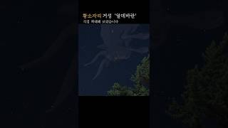 황소자리  직접찍고 확대 해보았습니다 Aldebaran Hyades of Taurus shorts bgm  별멍 [upl. by Lexis]