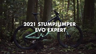 2021 Specialized Stumpjumper EVO Expert  Bike Review [upl. by Weinert]