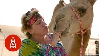 Finding a Second Life on a Camel Farm [upl. by Serafina718]