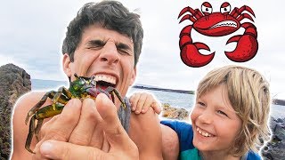 PiNCHED BY A CRAB CHALLENGE😰 [upl. by Ennairek]