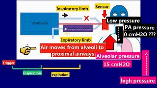 10 How does expiration happen  What is PEEP [upl. by Heath42]