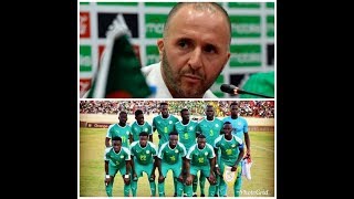 DJAMEL BELMADI COACH ALGÉRIE  LE SENEGAL FAVORI DE LA CAN ET DU GROUPE C [upl. by Gerhardine]