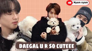 The cuteness of a dog named DAEGAL  Chenle or Daegal [upl. by Yvor]