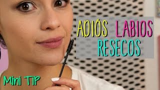 Cómo exfoliar tus labios en 5 minutos  ¡Adios resequedad Mini Tip  44 [upl. by Giesser]