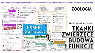 Tkanki zwierzęce  Budowa i funkcje tkanek zwierzęcych  Darmowe korepetycje  Zoologia [upl. by Orferd]