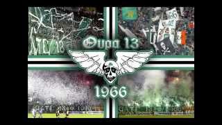 GATE13 Bianco Verde Ultras Gate 13 [upl. by Ecnarual]