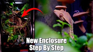 18x18x36quot Bioactive Setup  Crested Gecko Enclosure How To [upl. by Amliv523]