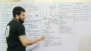 phylum platyhelminthes  General Characteristics  Join MR Academy [upl. by Eidissac]