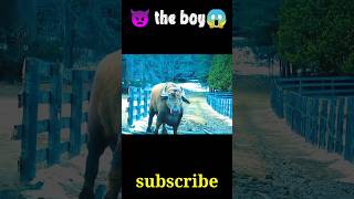 The boy full movie explained shots hollywoodmovies movies [upl. by Crellen]