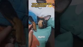 TOP 5 NOMES DE CACHORRO 🐶🤔 shorts humor memes [upl. by Ydnis]