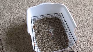 Rabbit litter boxCustommade DIY Scatterless with gridgrate under 5 [upl. by Aerdna]