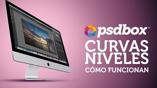 Como usar curvas y niveles en Photoshop [upl. by Ennazus507]