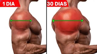 5 MELHORES EXERCÍCIOS DE OMBROS QUE VOCÊ PRECISA PARA OBTER OMBROS CHEIOS E DEFINIDOS EM POUCO TEMPO [upl. by Ahsimed]