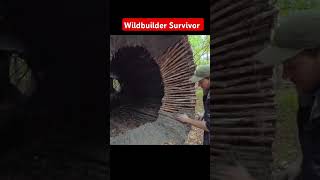 Wilderness Survivor short woodworking wildernesssurvival survival survivalskills [upl. by Bernstein409]