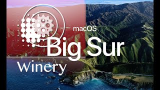 Run Windows App under MacOs big sur by wineskin  2021 Mar Detailed [upl. by Aieka]