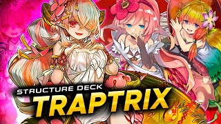 TRAPTRIX Deck  Post STRUCTURE DECK EDOPRO DUELS [upl. by Ssac984]